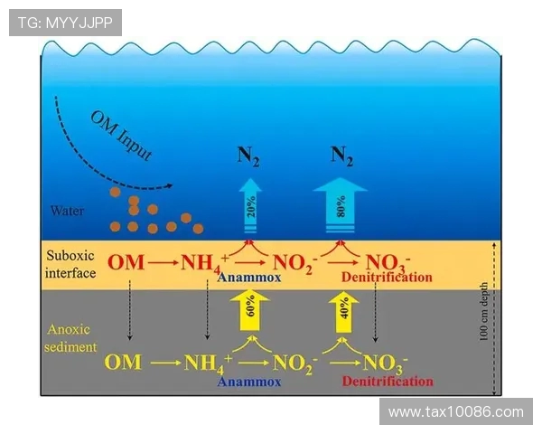 赛后分析：FPX与LNG的耐力较量与战术深度探讨