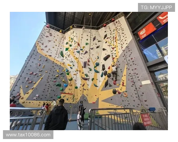 赛后分析：深圳攀岩队与上海攀岩队的表现与状态对比