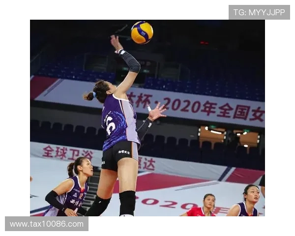 与王娜畅谈排球生涯的点滴与成长之路